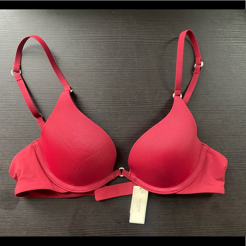 Gilly Hicks Bra